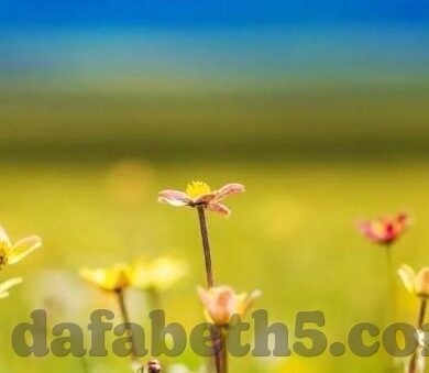 足球5月30日足球比分-5月30日足球比分全景解析，绿茵激战背后的故事与启示