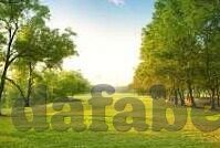 足球竞彩直播足球比分-足球竞彩直播，实时比分背后的激情与策略